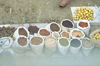 63 Kashgar Sunday Market 1993 Fruit And Vegetable Market From Tower.jpg